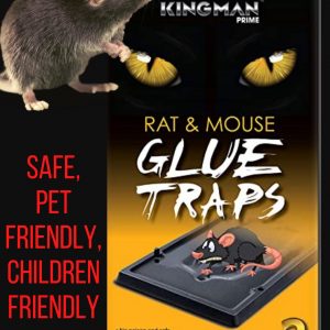 KINGMAN PRIME Rat, Mouse, Insect Glue Trap, Extra Strenght, Non-Toxic